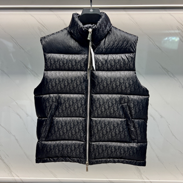 ハイクオリティダウンジャケット背面デザイン